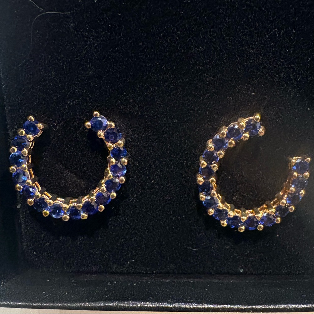 Technibond Gold .925 Crescent Earrings